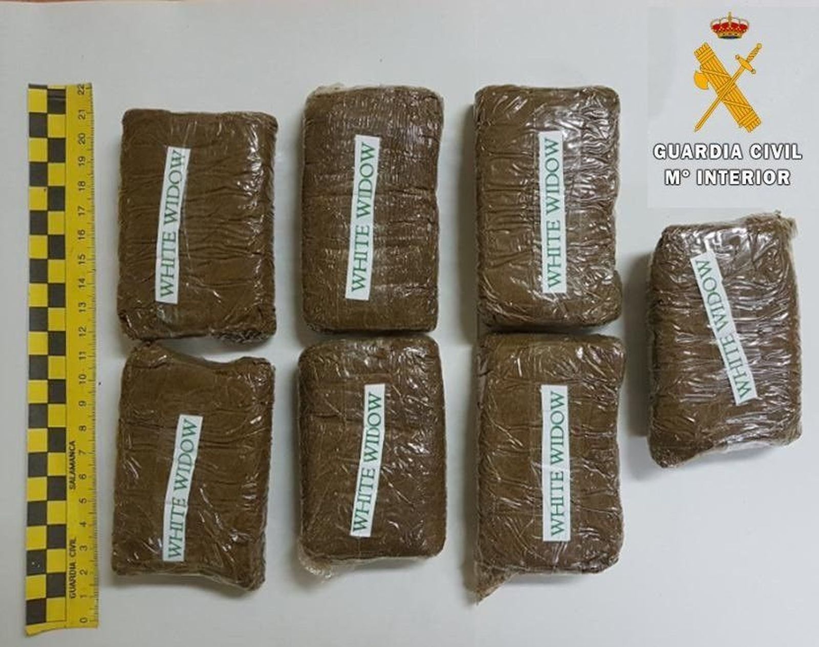 Detenida con 700 gramos de hachís en tabletas ocultas en un bolso y adosadas al cuerpo