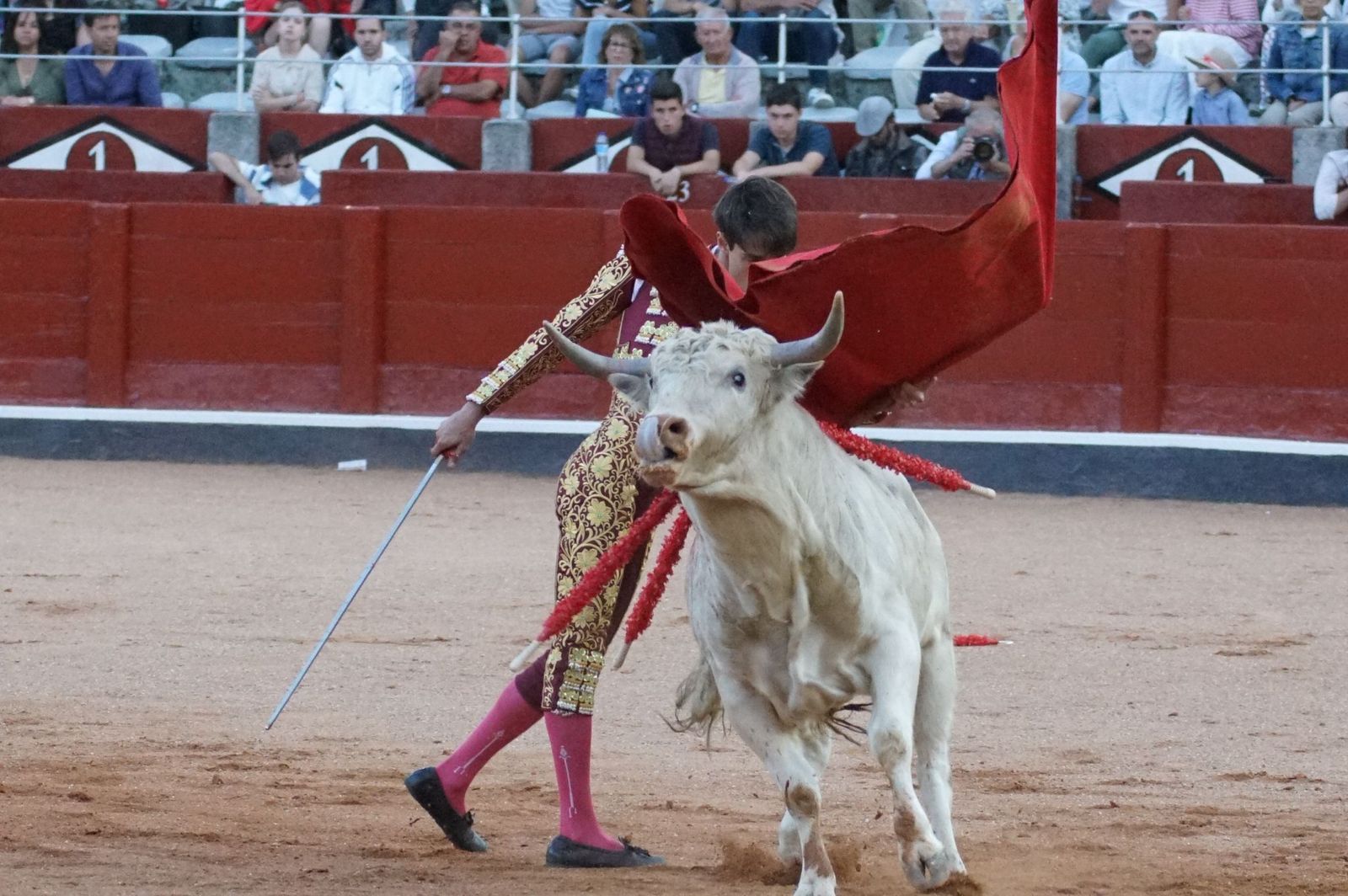 Clase práctica con alumnos de la Escuela de Tauromaquia de Salamanca (Diego Mateos, Noel García y Álvaro Rojo con erales de Esteban Isidro)
