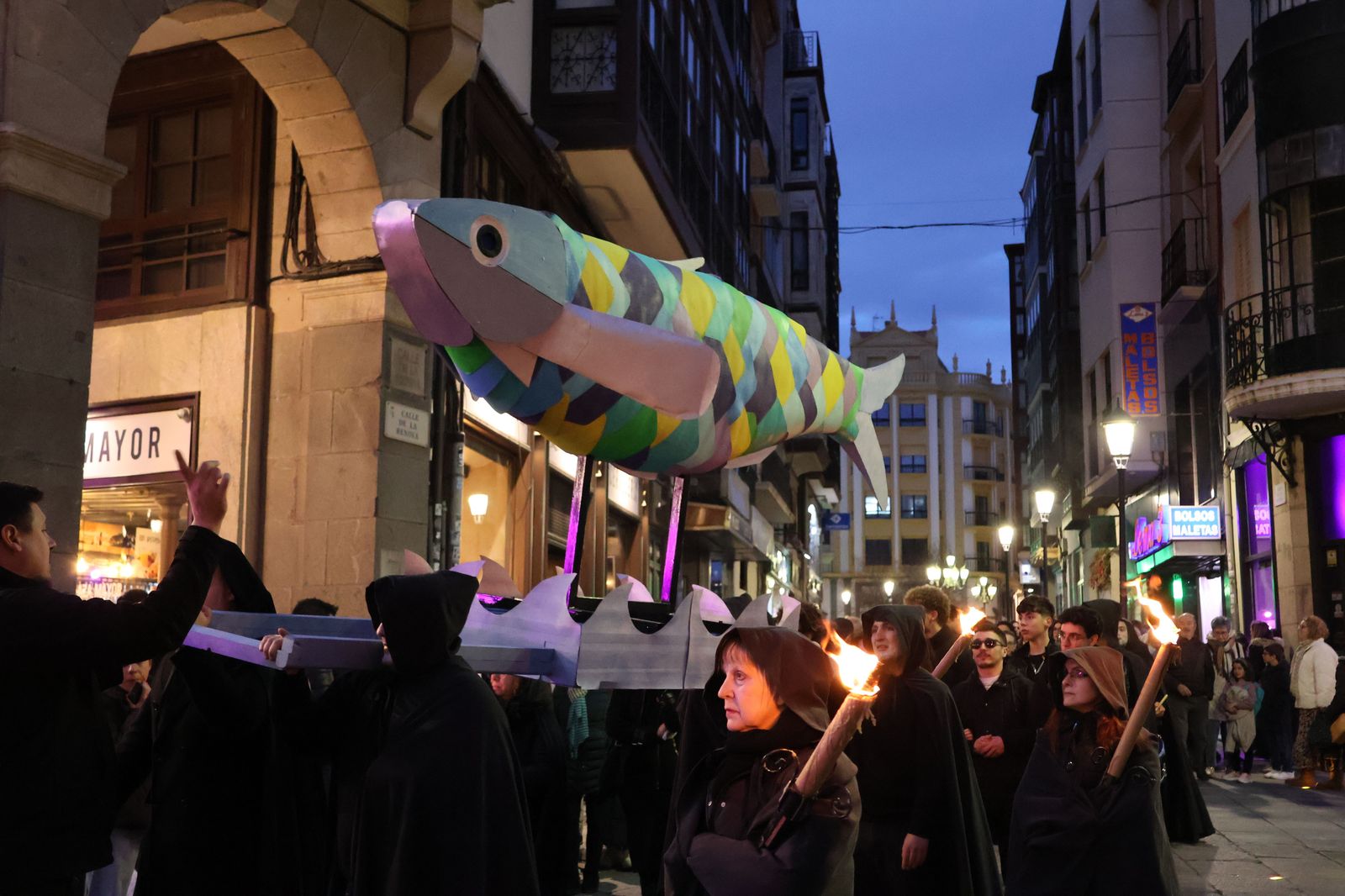 entierro-de-la-sardina-2025-42