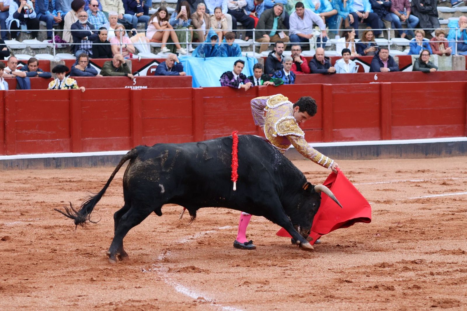 20230915171802-img-3870