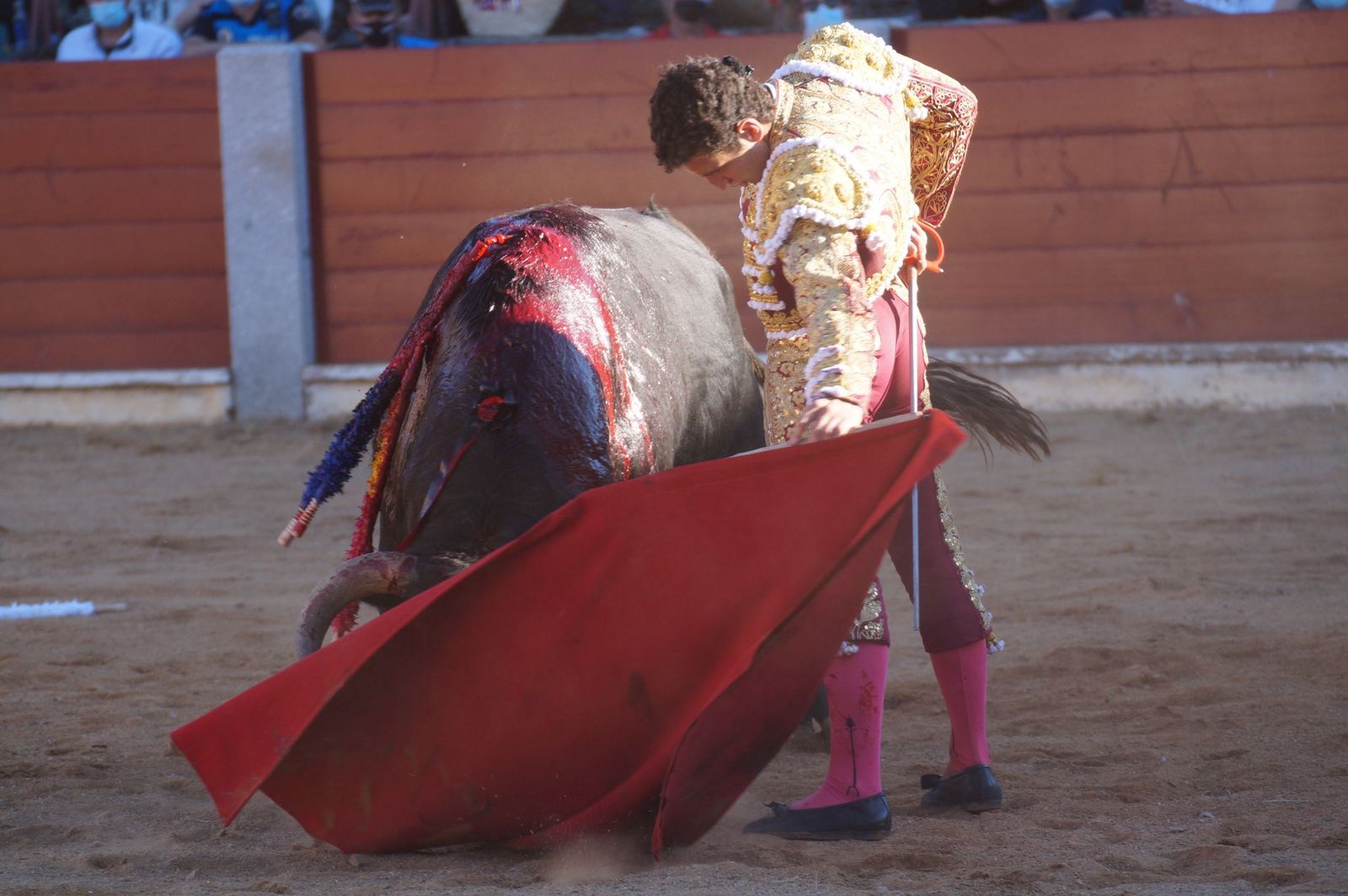 corrida-de-toros-en-guijuelo-9