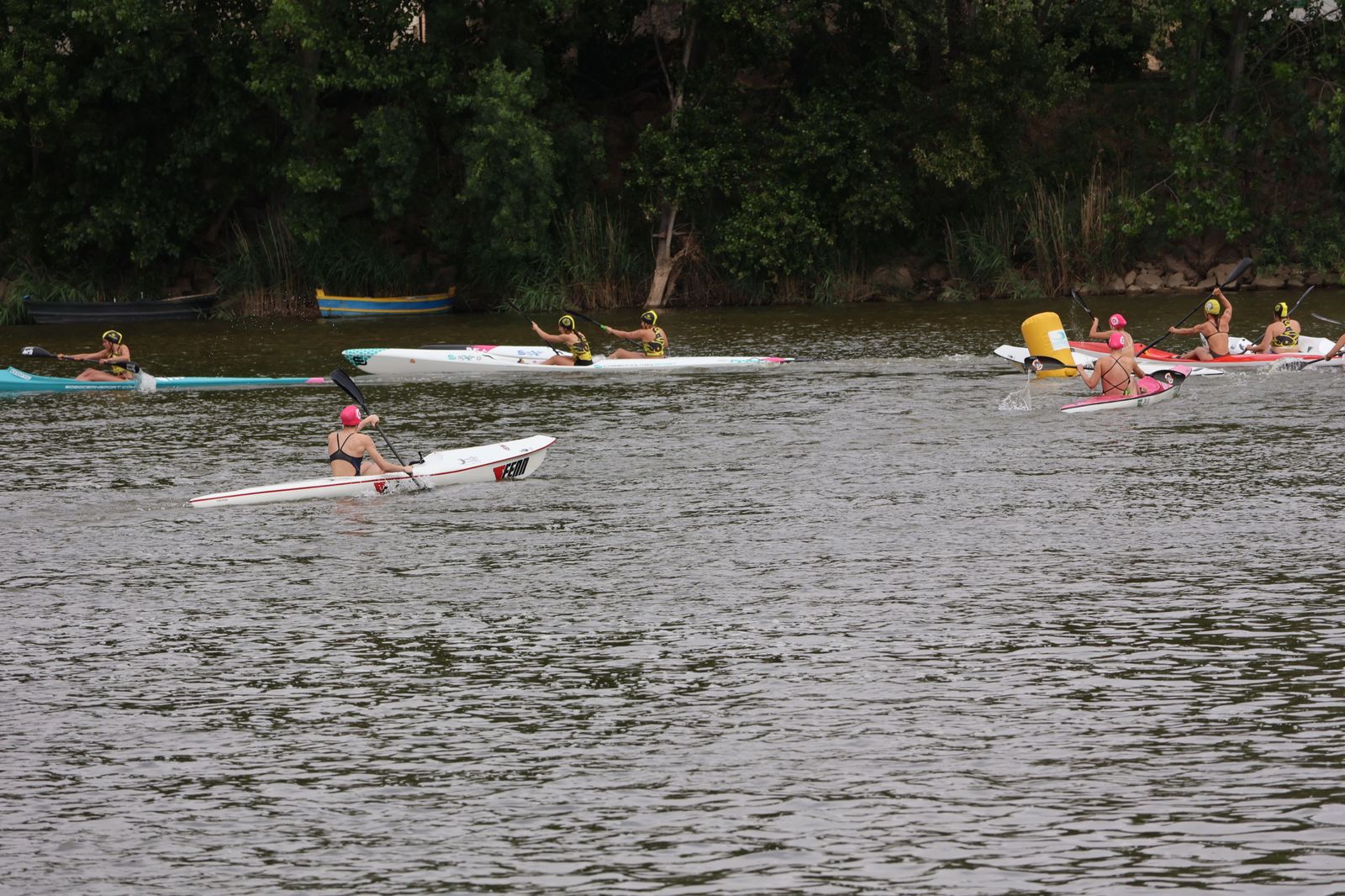 img-2267