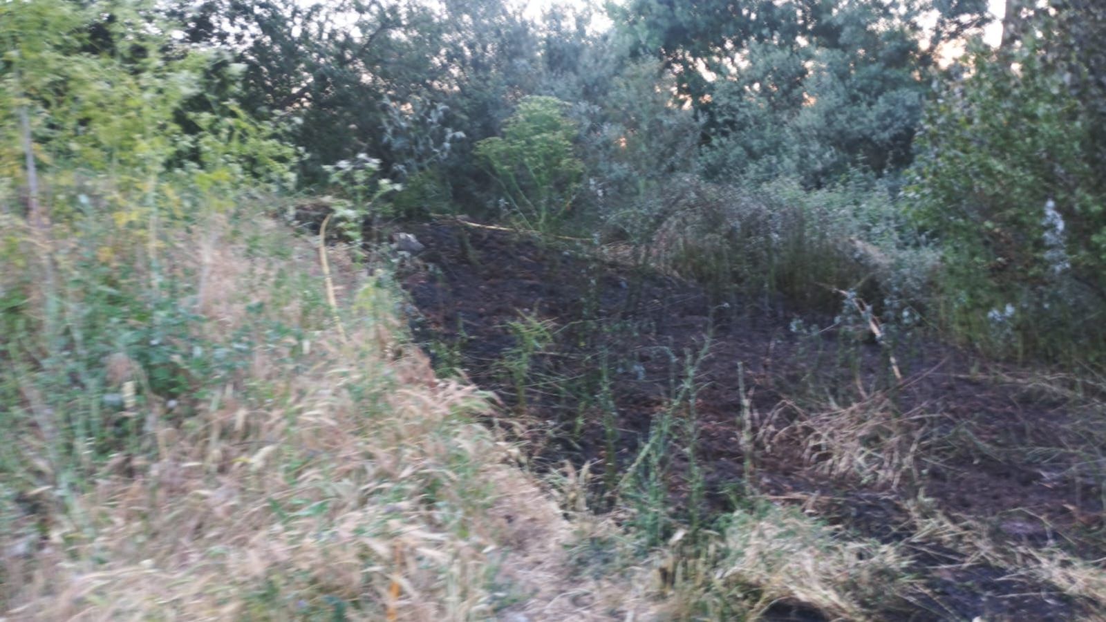 whatsapp-image-2025-06-06-at-21-40-17