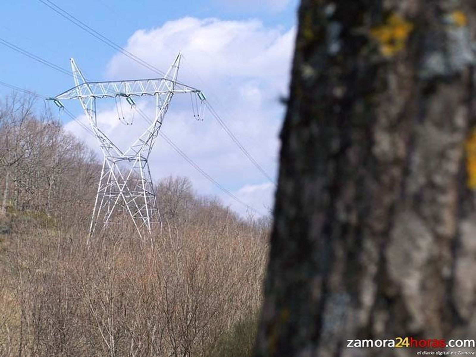 Iberdrola niega “cualquier manipulación” de los precios ofertados al mercado de generación