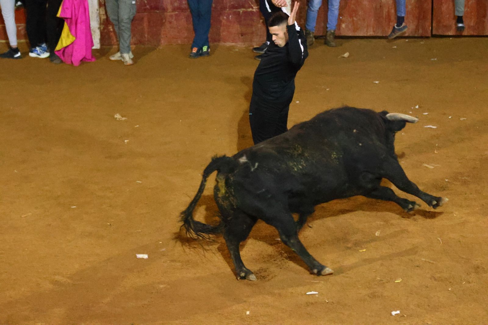 Capea nocturna de lunes en el Carnaval del Toro 2026