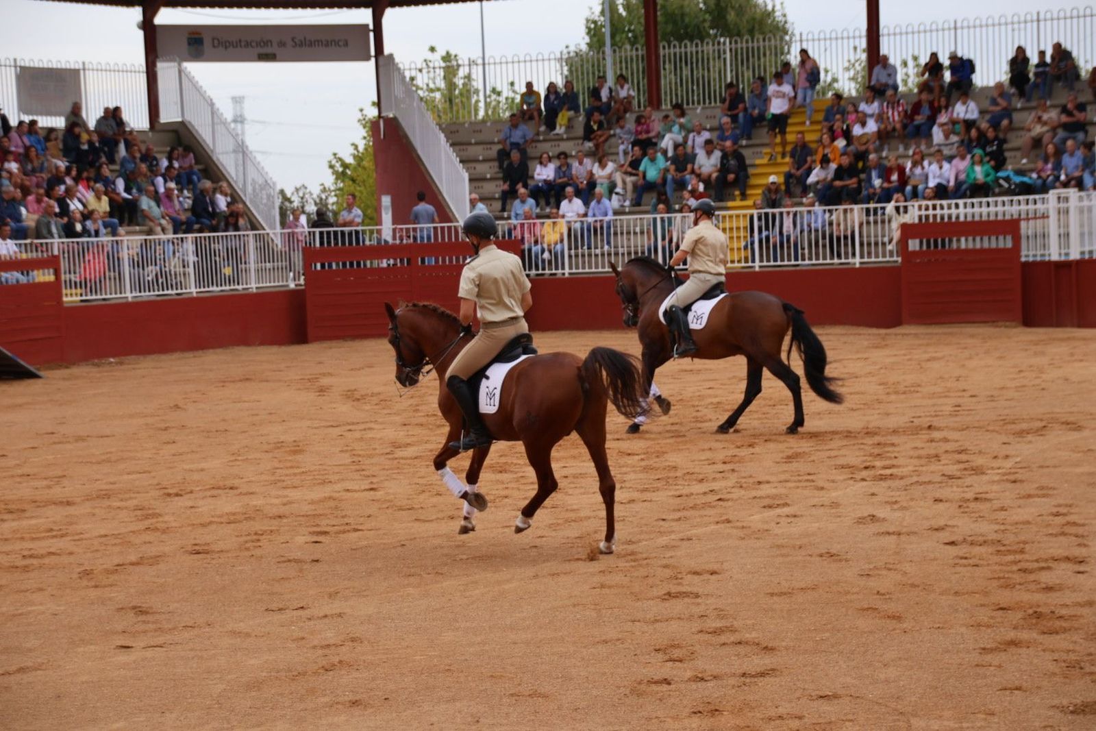 20230902111409-img-7051