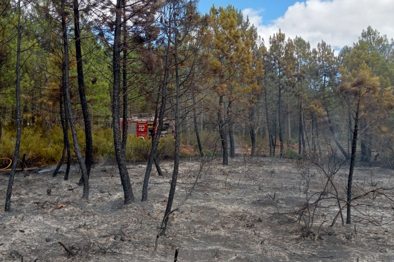 Controlado el incendio en esta zona de Zamora