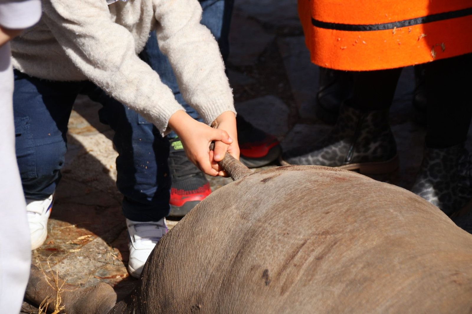 20240217134438-img-6895