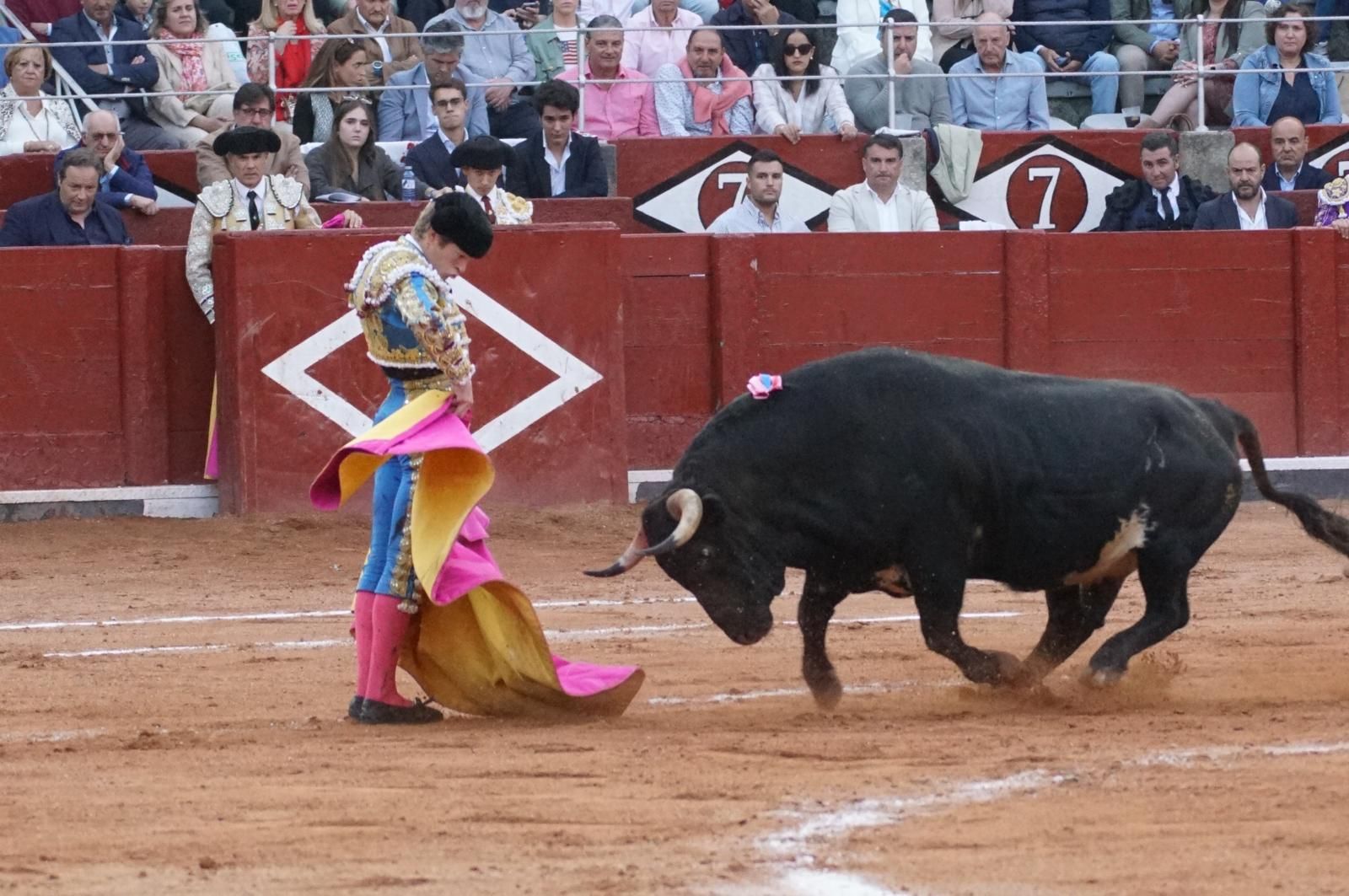 corrida-concurso-momentos-mas-destacados-del-ultimo-festejo-de-abono-de-la-feria-taurina-virgen-de-la-vega-2024-fotos-carlos-h-g-y-juanes-14