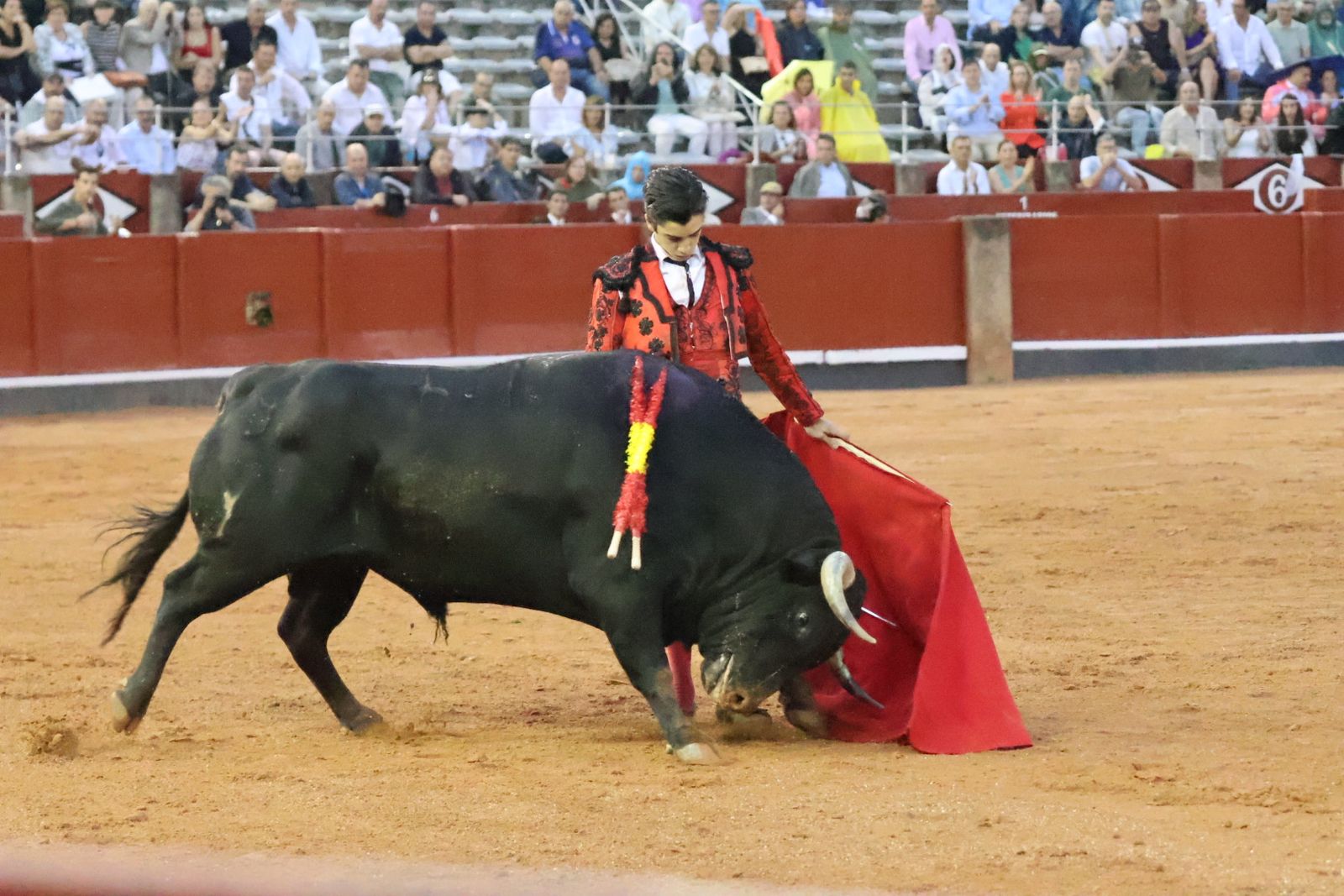 Ismael Martín, Marco Pérez y el aclamado regreso de Morante de la Puebla: su paso por La Glorieta en imágenes