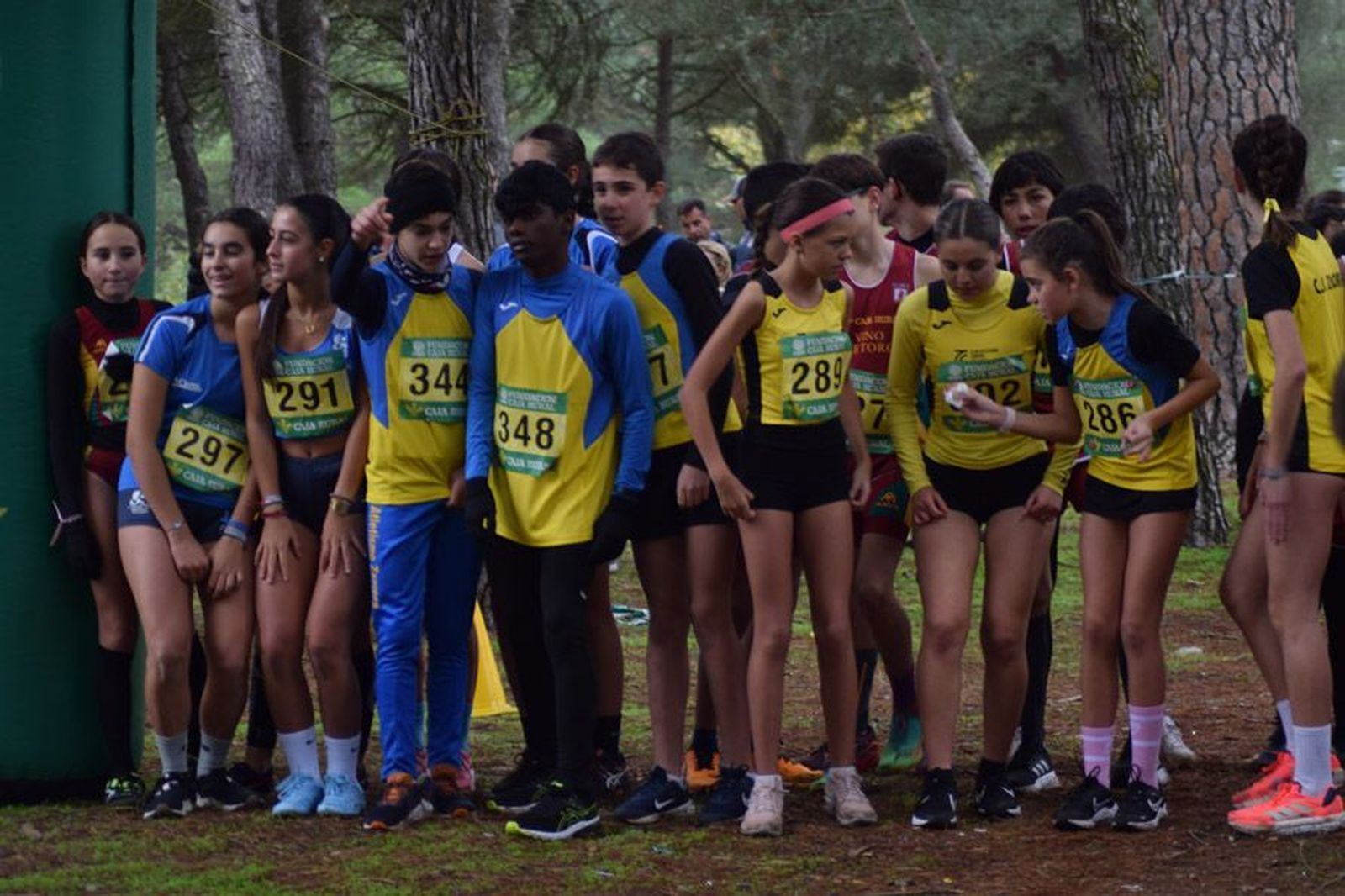 cross-de-otono-en-el-bosque-de-valorio-66