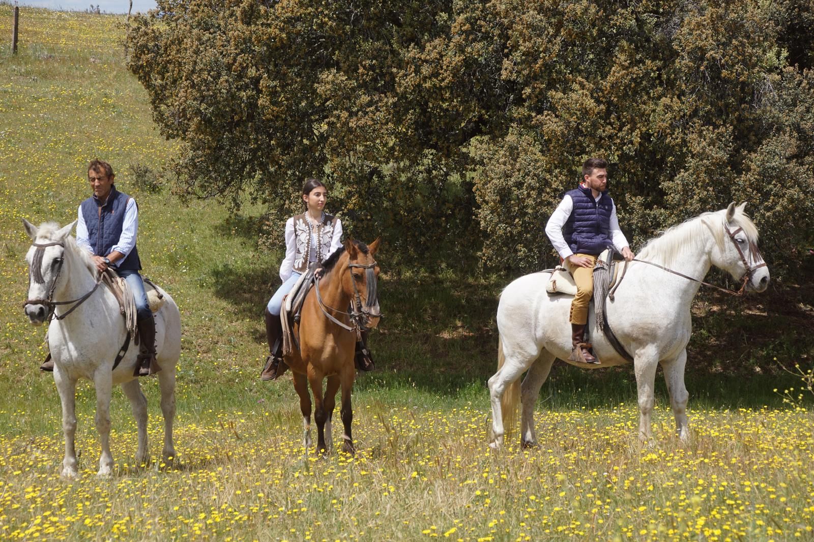 whatsapp-image-2024-05-19-at-14-19-50