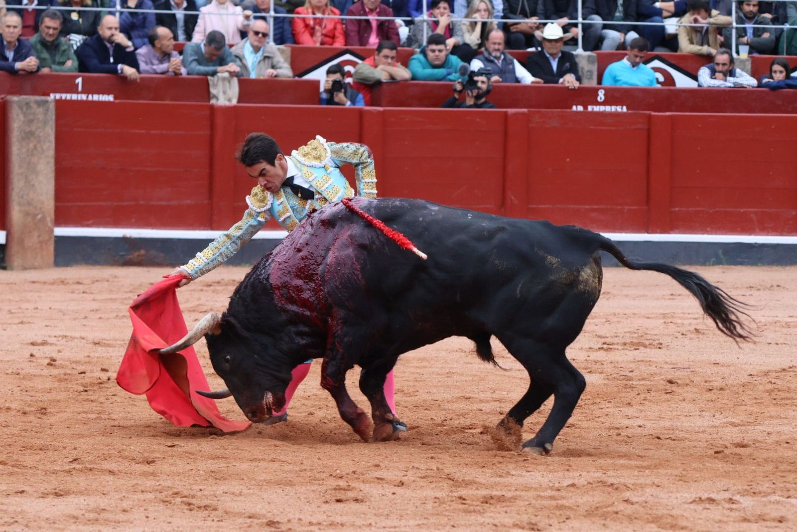 20230921181109-img-8084