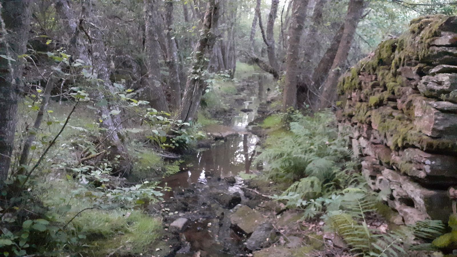 Terreno de Manzanal de Arriba