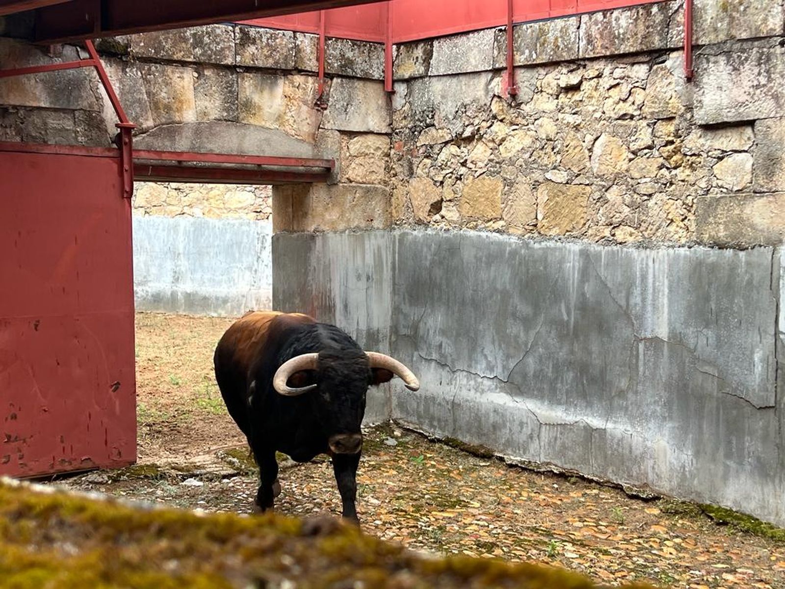 whatsapp-image-2023-09-16-at-12-52-46