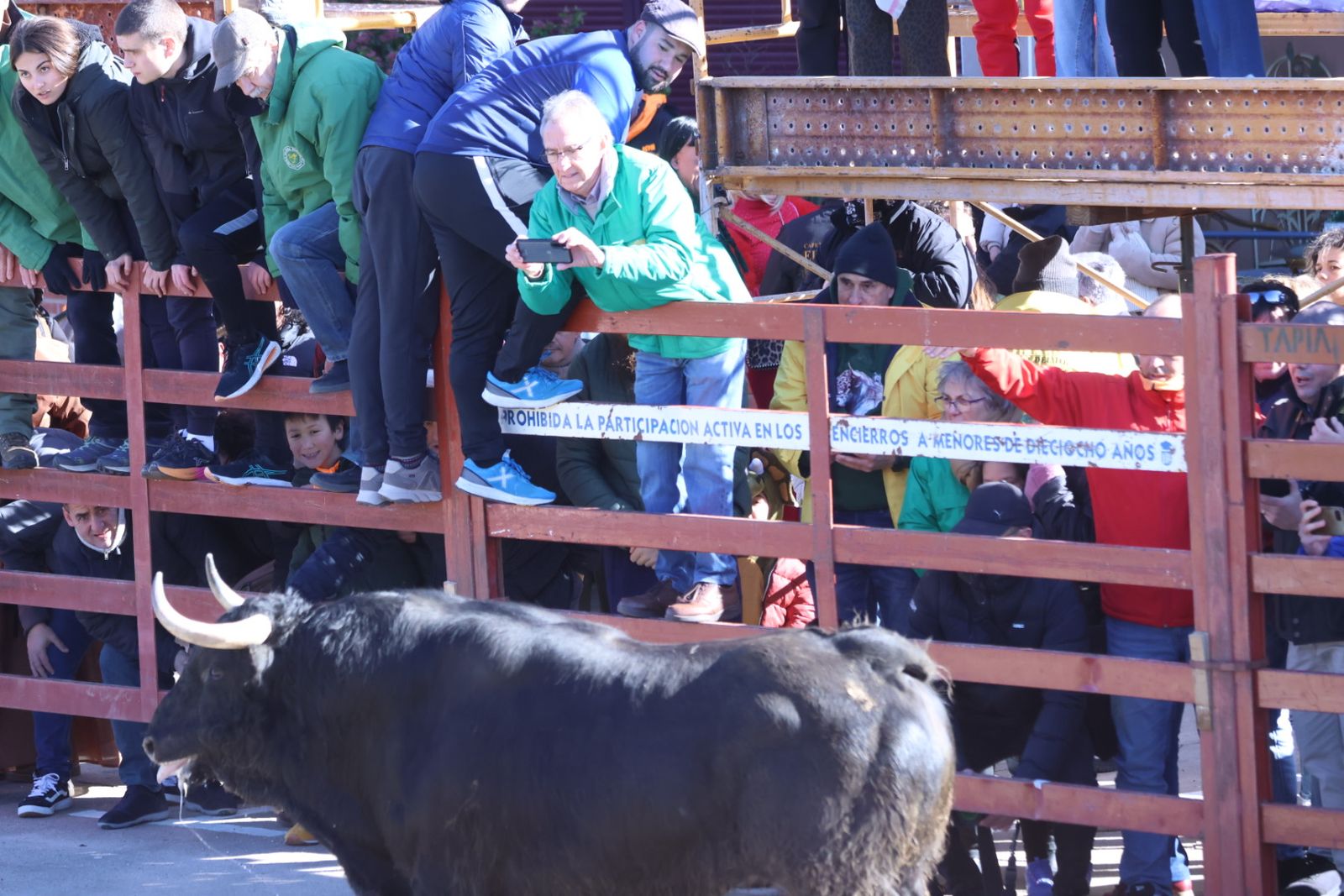 Toro del Antruejo 2026 en el Carnaval del Toro de Ciudad Rodrigo