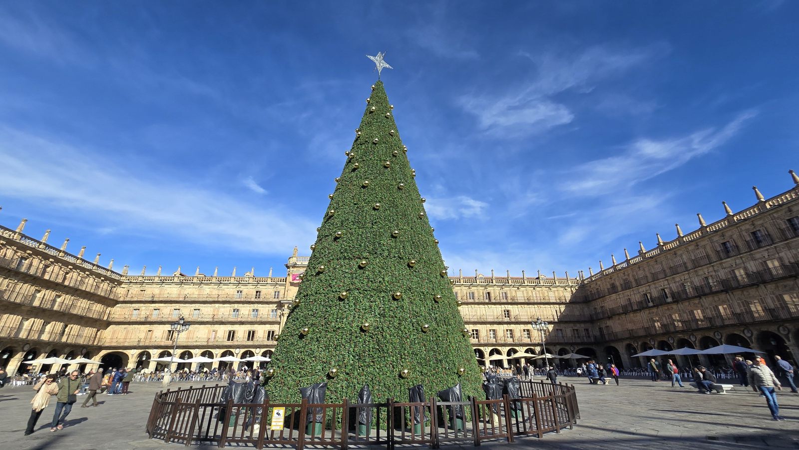 ARBOL DE NAVIDAD DE LA PLAZA ARBOL DE NAVIDAD DE LA PLAZA