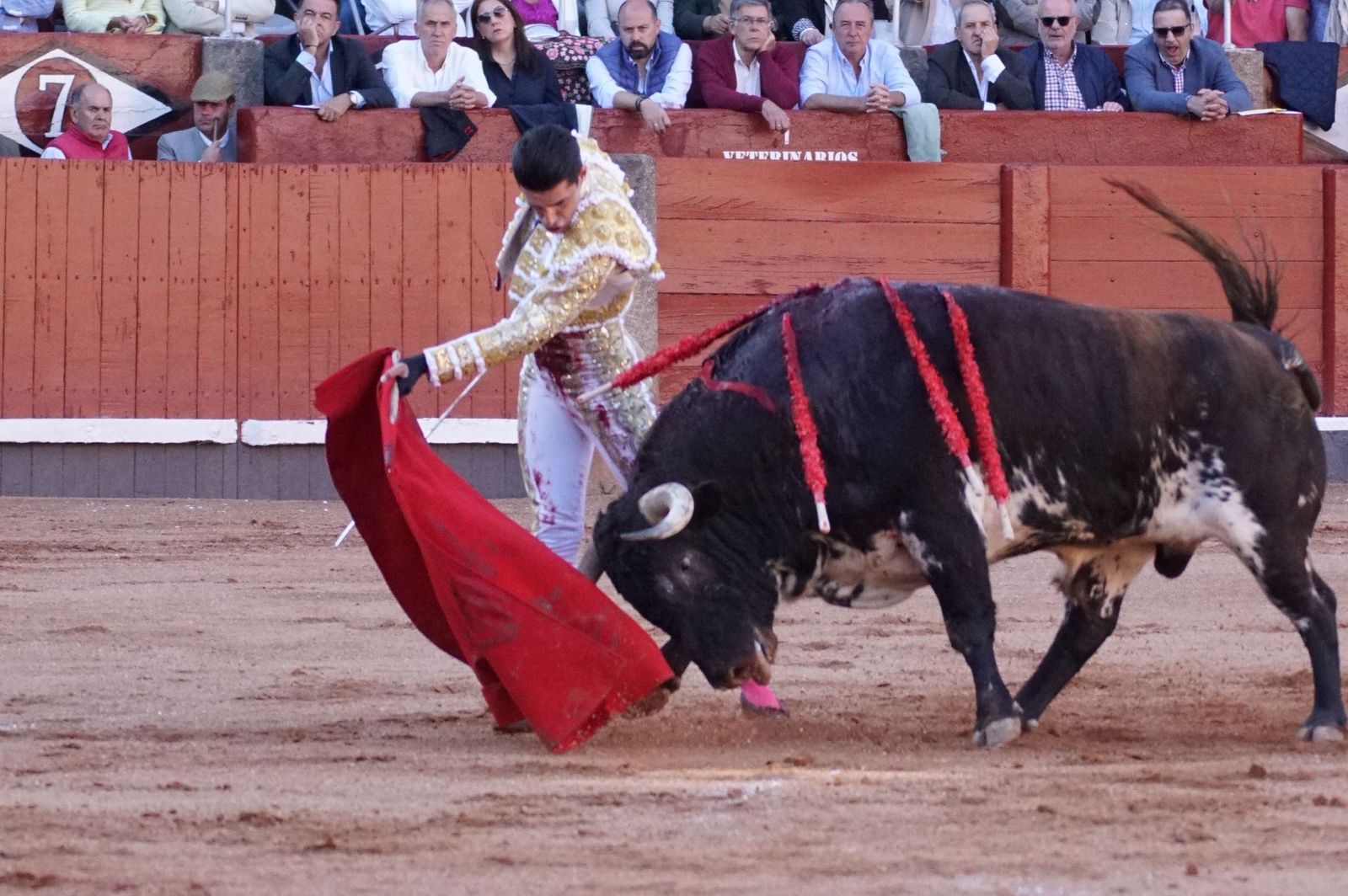 La corrida concurso para despedir la feria con Morante, Talavante y Borja Jiménez: imágenes de los mejores momentos en La Glorieta