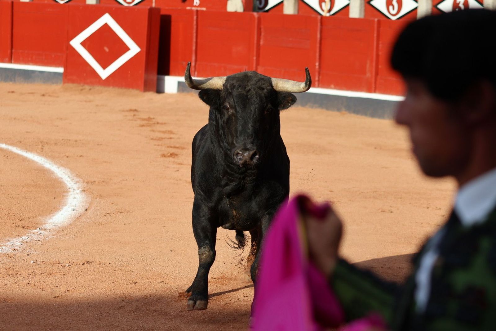 20230910175530-img-1914