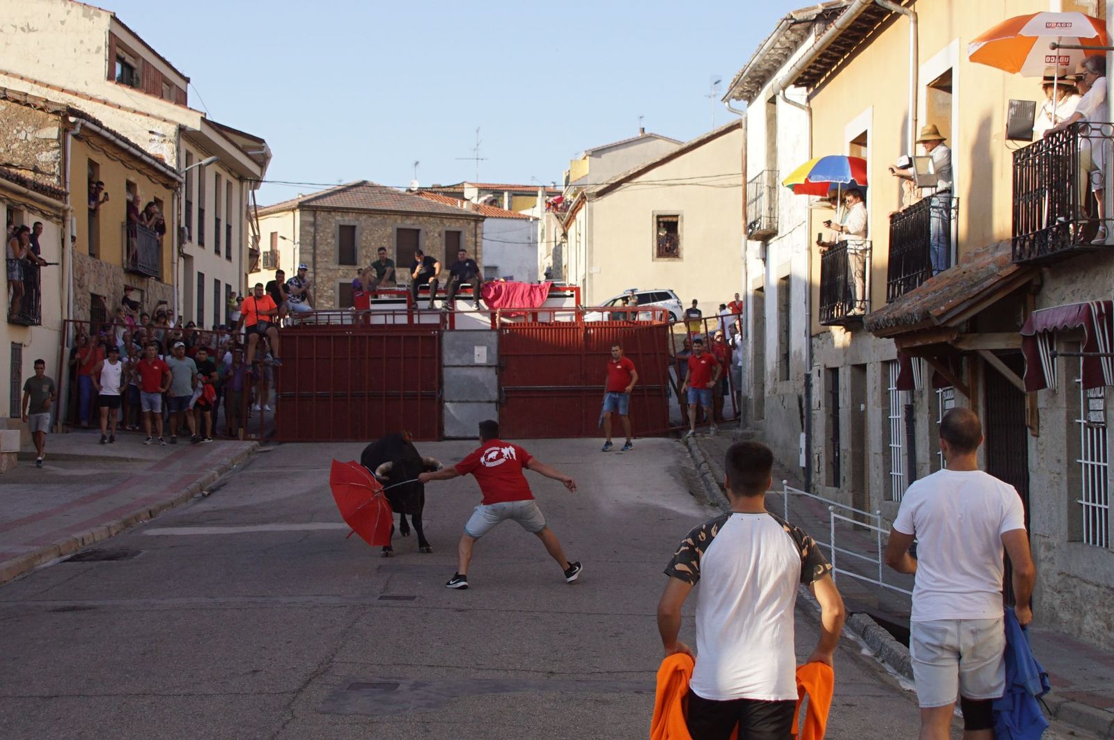 whatsapp-image-2024-08-04-at-21-09-54