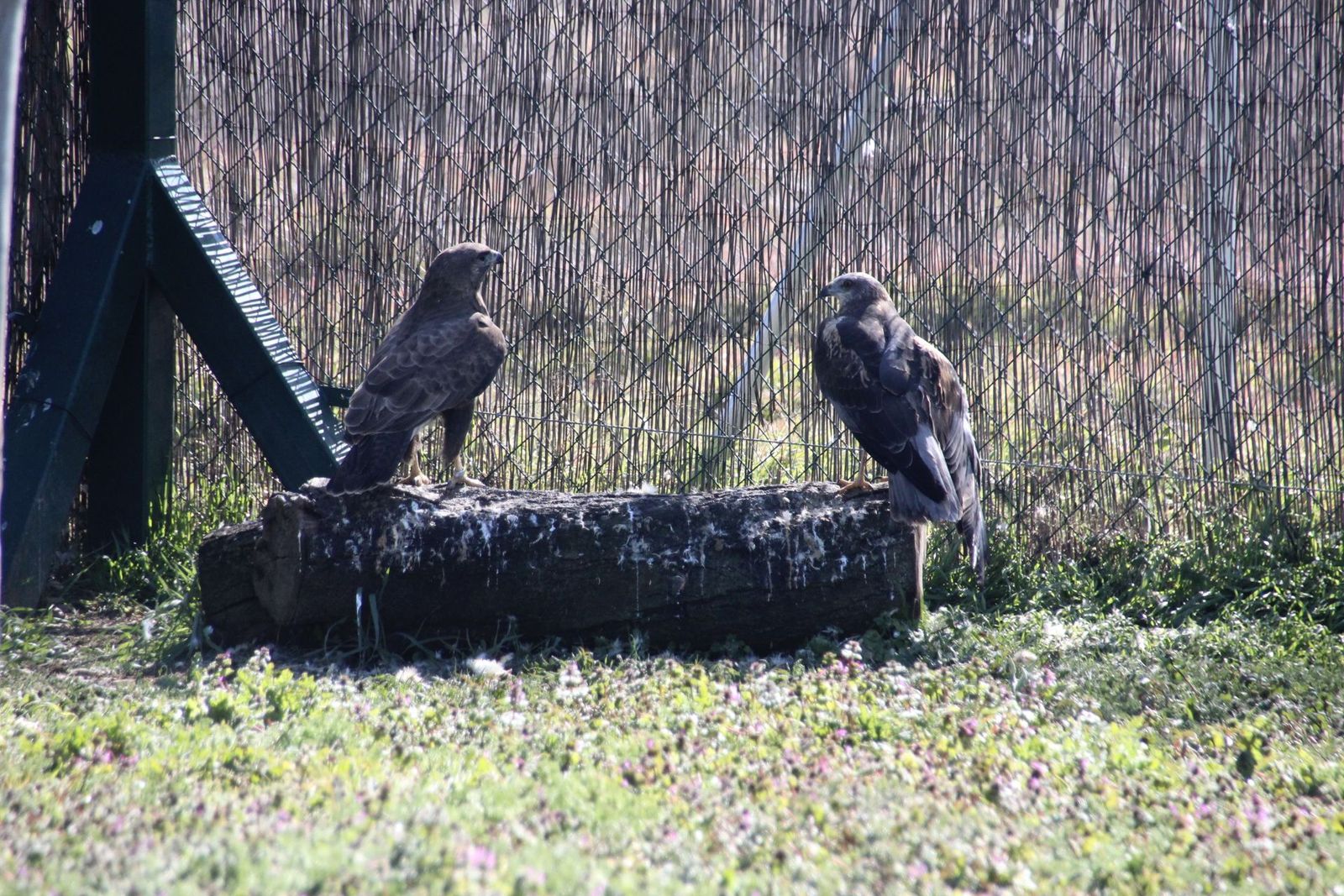 20230304151646-img-1658