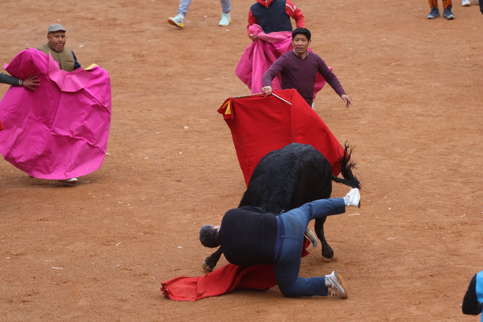Capea de domingo en el Carnaval del Toro 2026 de Ciudad Rodrigo