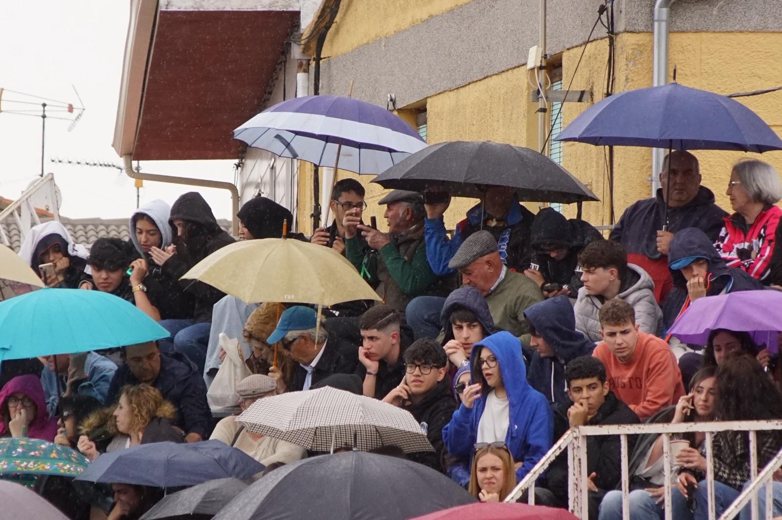 Villoria, toro del Voto