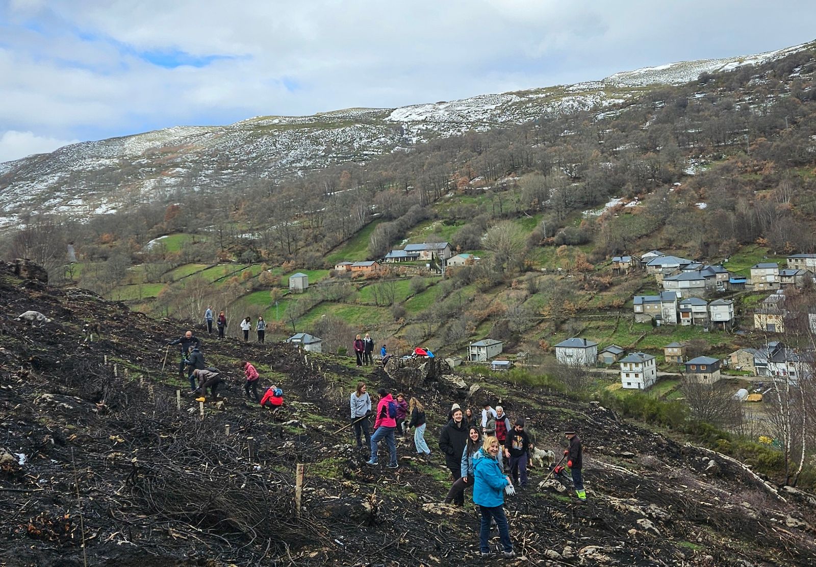Reforestación en Porto de Sanabria