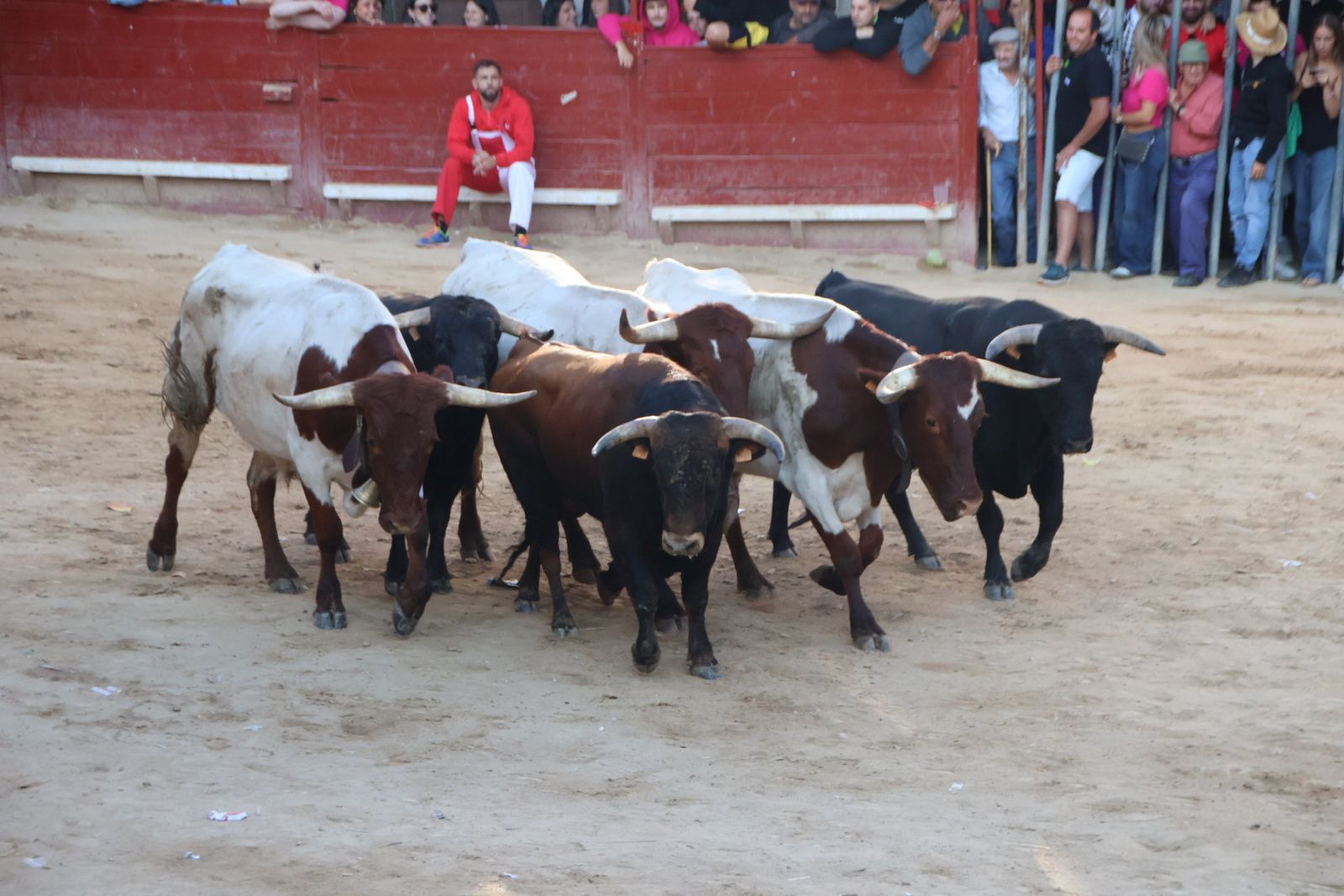 Encierro en Aldeadávila