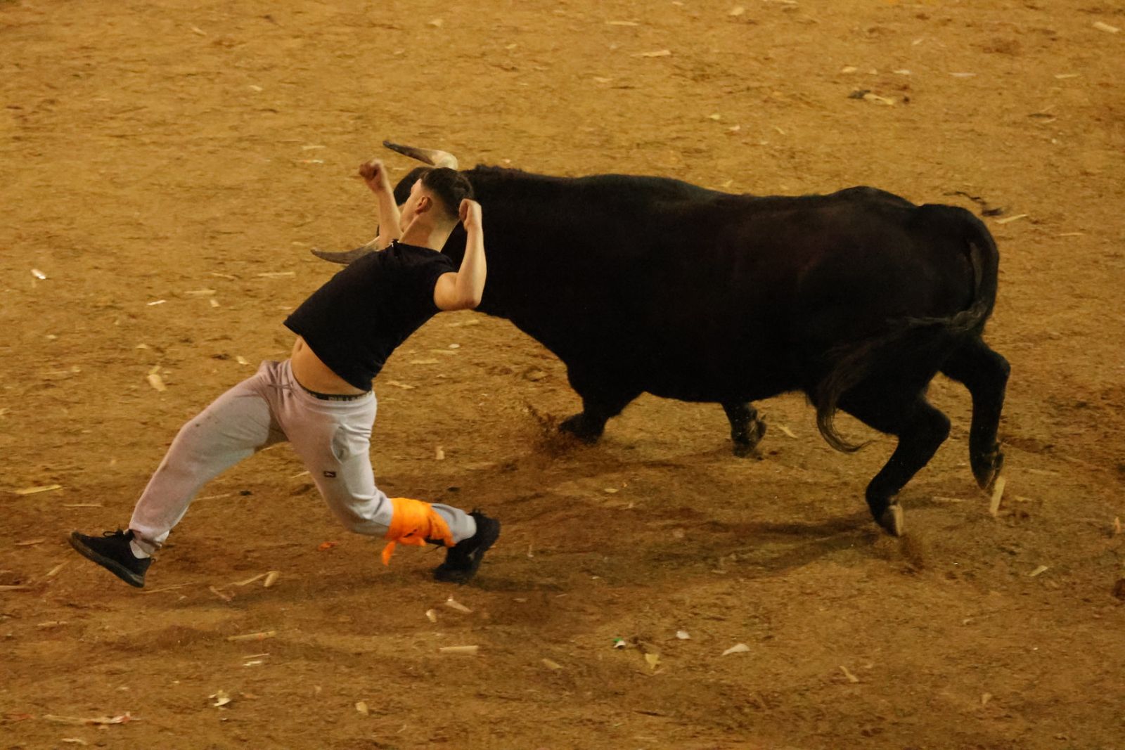 Capea Nocturna del Viernes en Ciudad Rodrigo