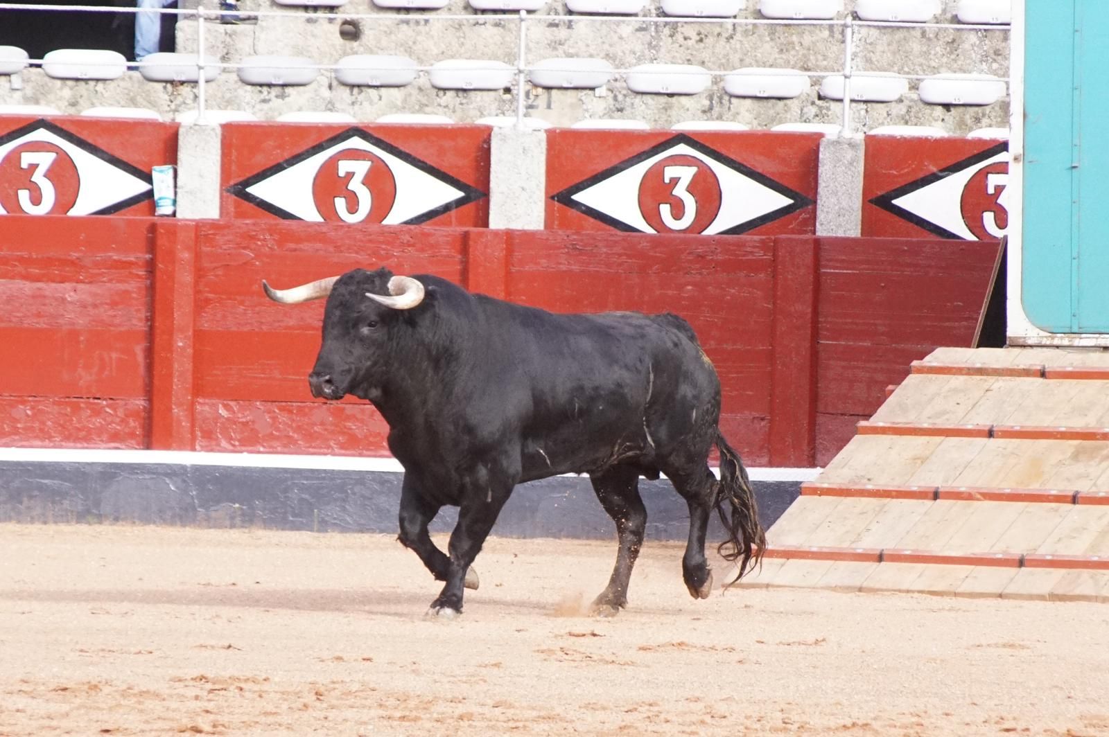 whatsapp-image-2023-09-08-at-19-29-11-2