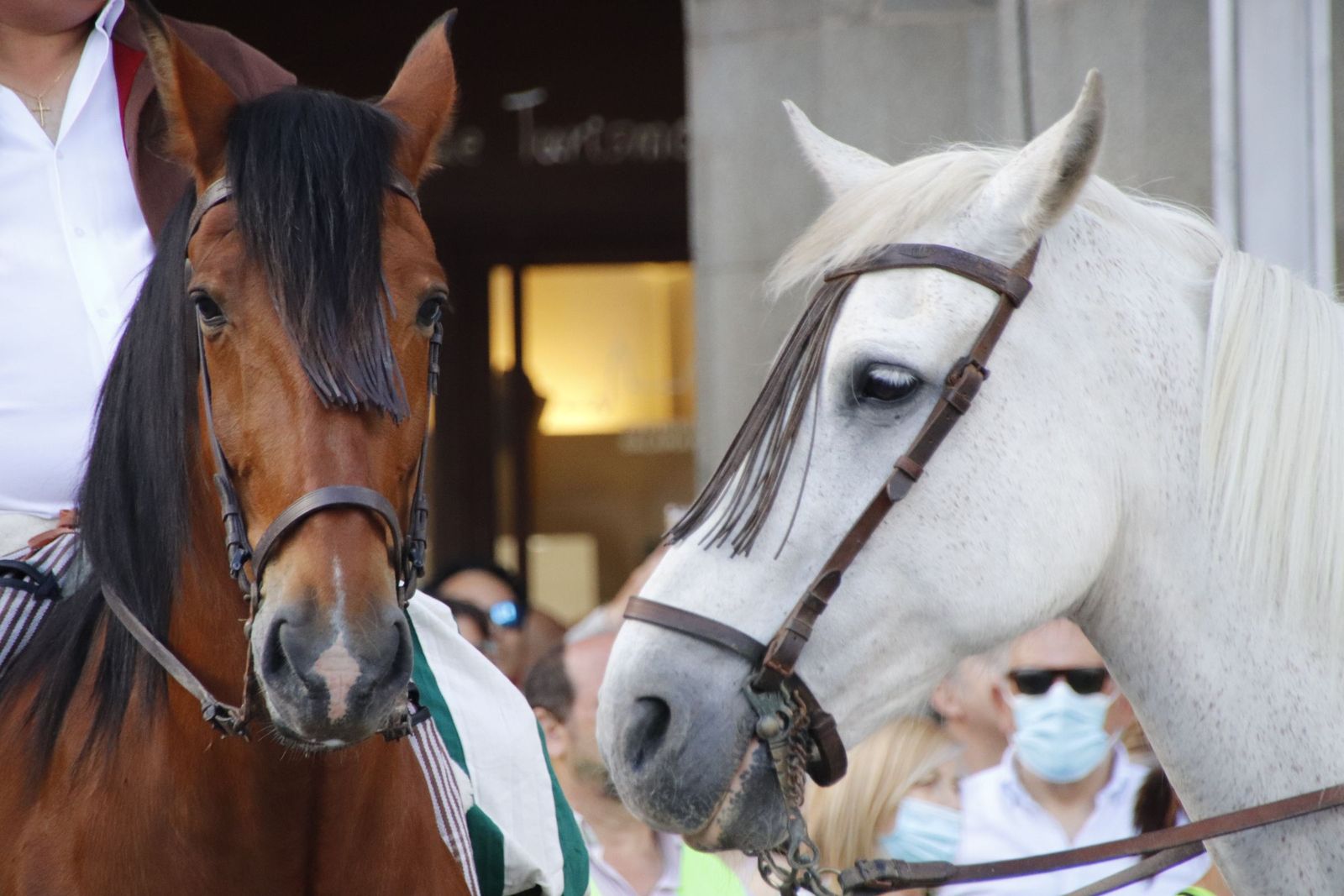 20220604182847-mg-2126