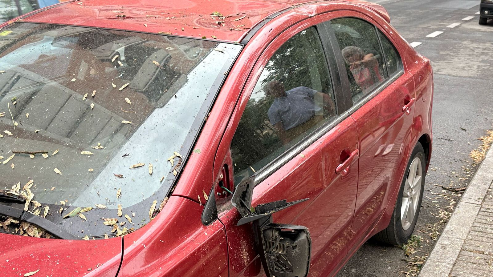 Daños materiales provocados por la caída de un árbol  calle Villaviciosa