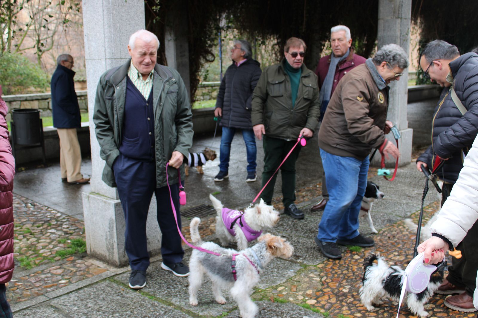 san-anton-bendicion-de-animales-2024-foto-s24h-32