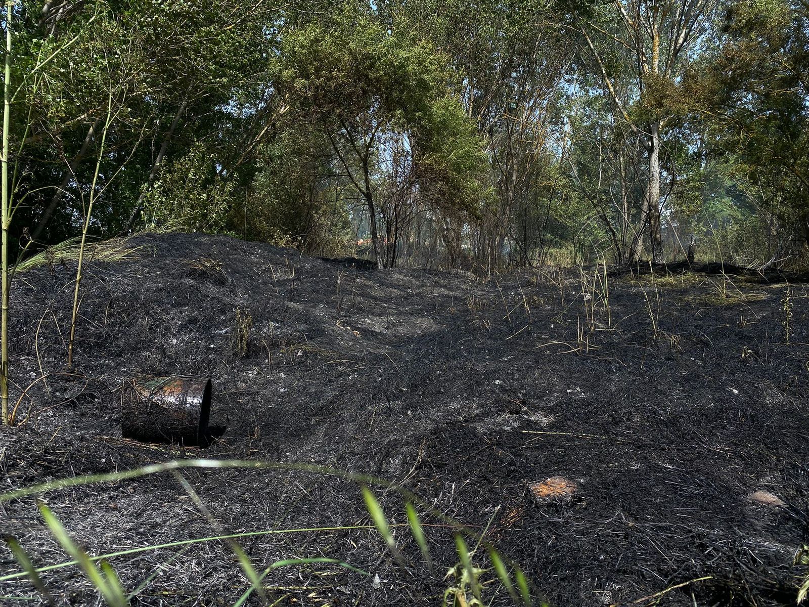 Los bomberos sofocan un incendio entre el puente del Pradillo y La Fontana