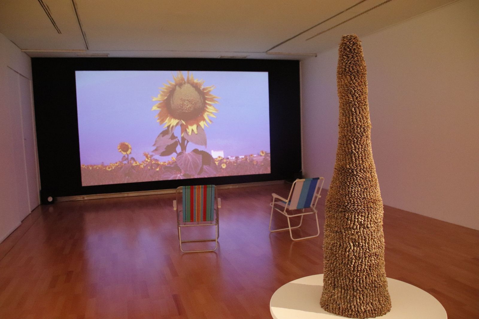 20220929113852-mg-1373