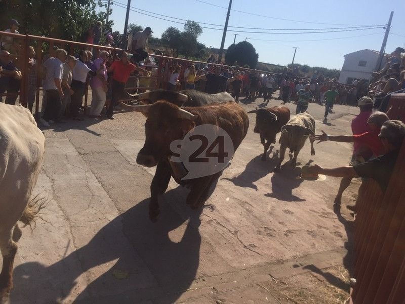 Los toros animan el último sábado festivo