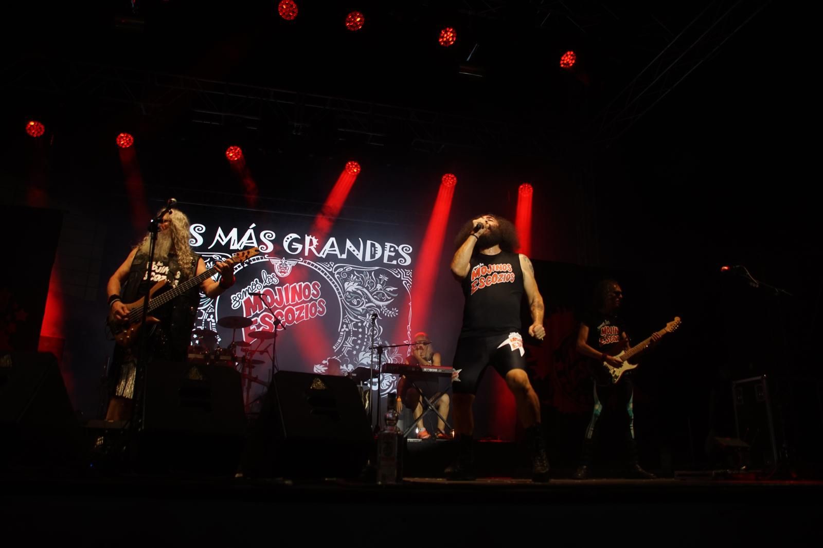 concierto-de-los-mojinos-escozios-en-santa-marta-de-tormes-46