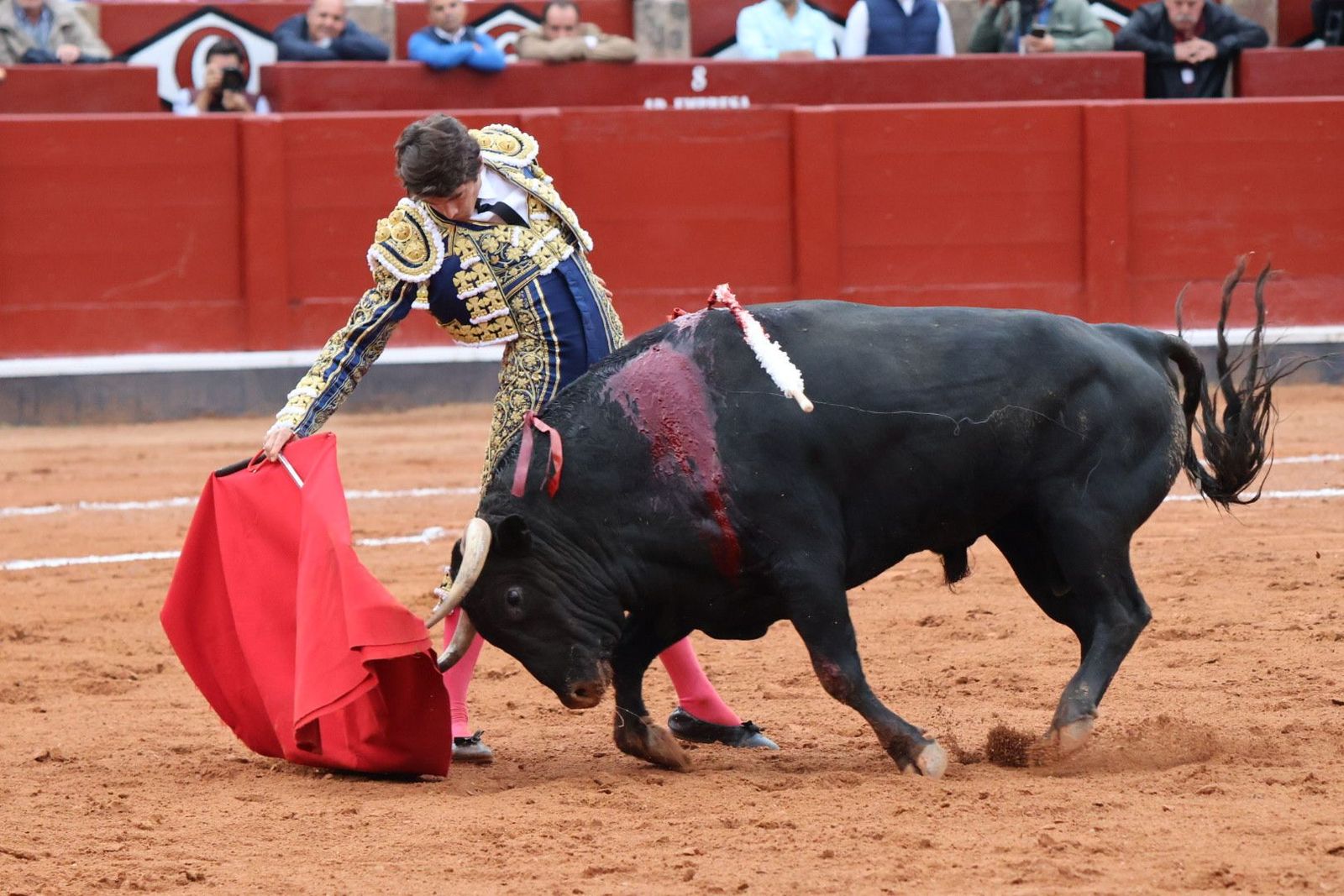 20230916182251-img-5518