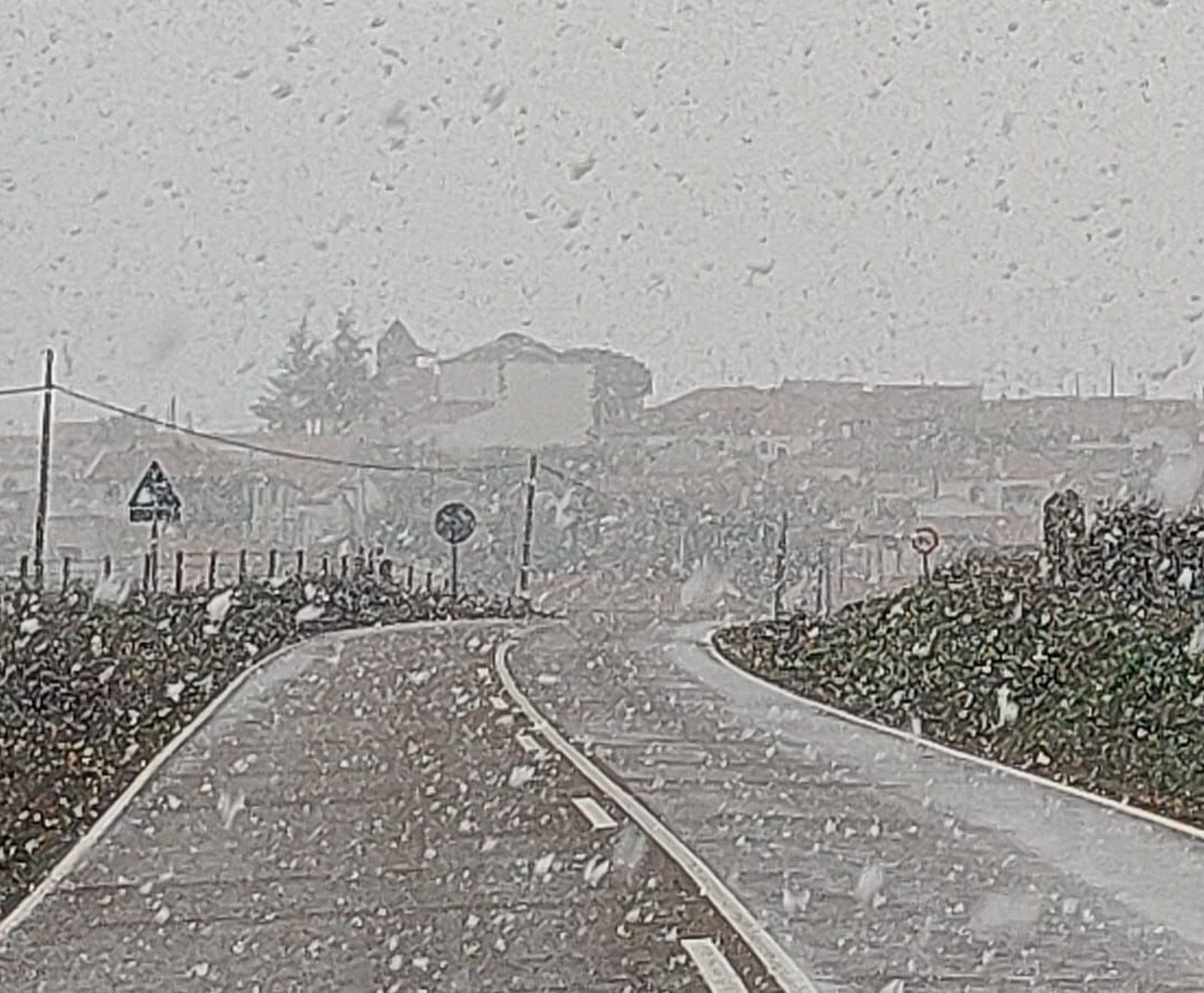 whatsapp-image-2024-02-10-at-17-53-24