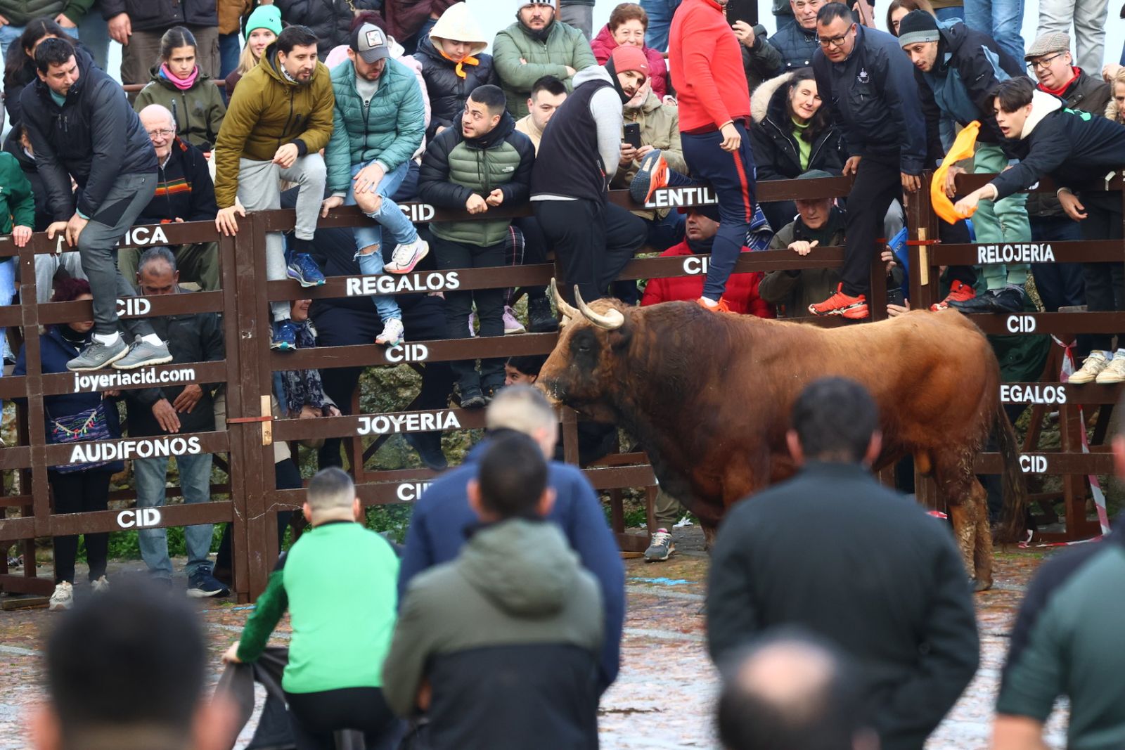 Toro del aguardiente en la mañana de martes del Carnaval del Toro 2026