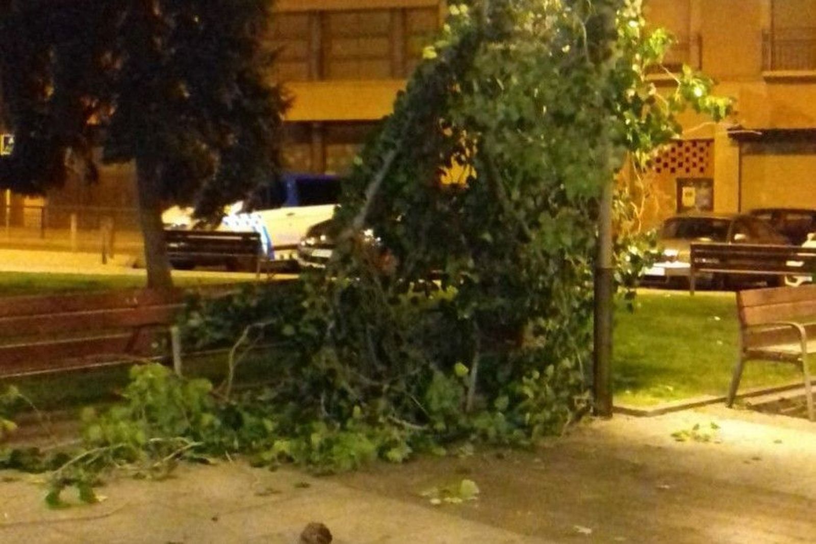 WhatsApp Image 2019 06 27 at 09.56.45 (1)