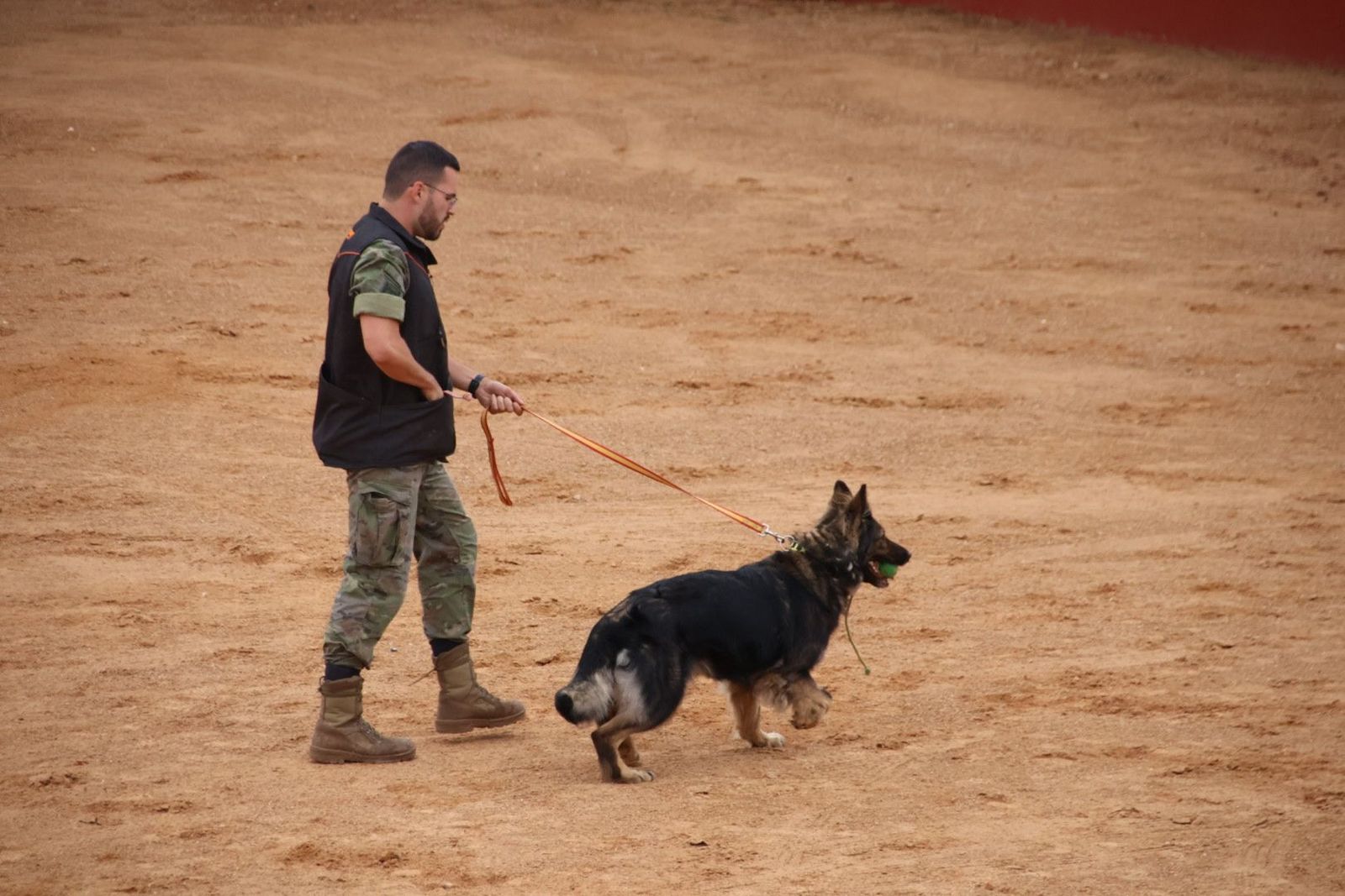 20230902114704-img-7186