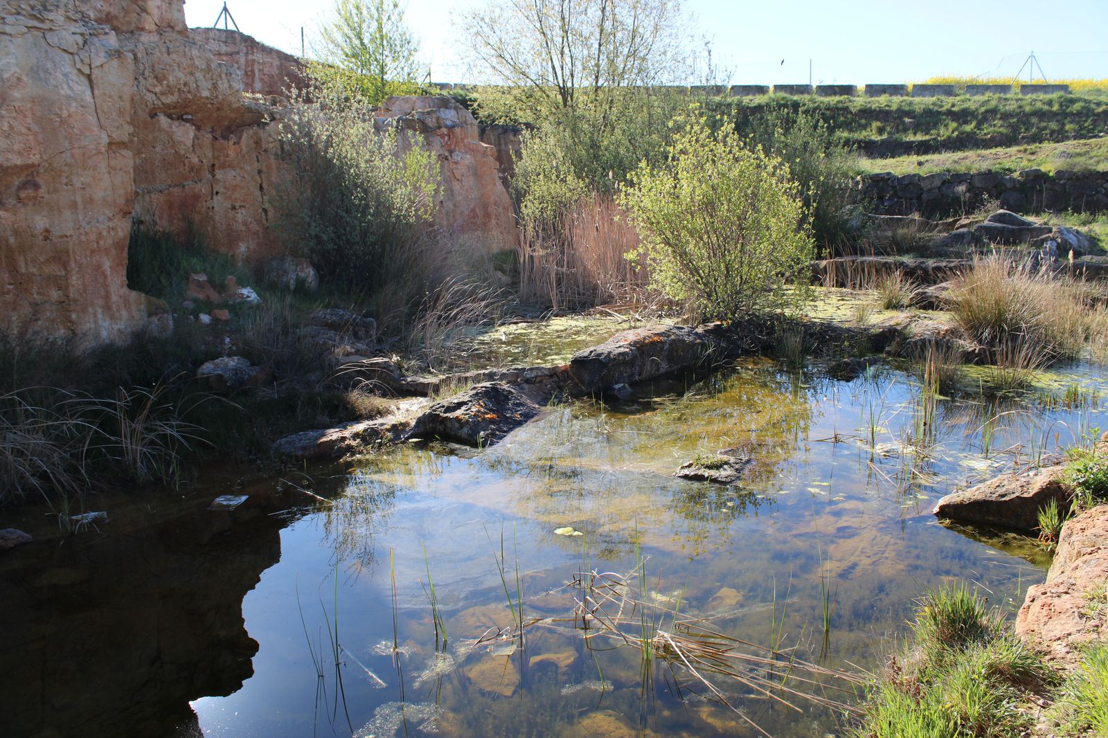 habitat-minero-villamayor-cantera-las-cocinitas-8