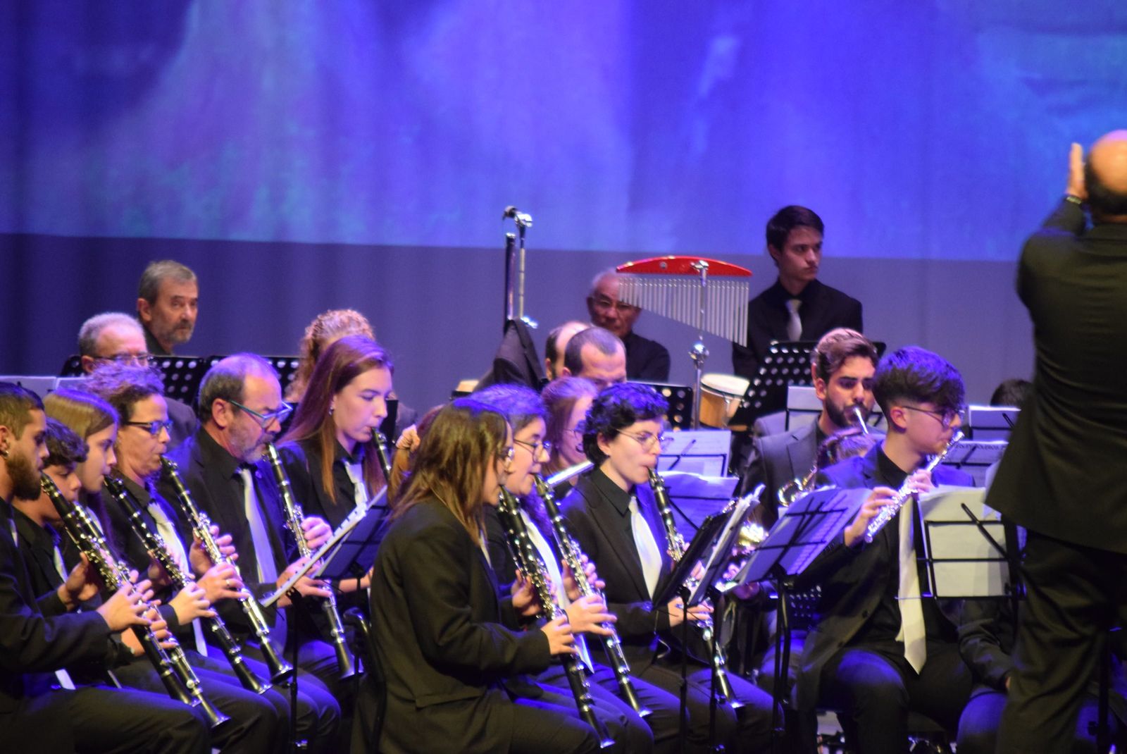 concierto-de-santa-cecilia-en-el-ramos-carrion-20