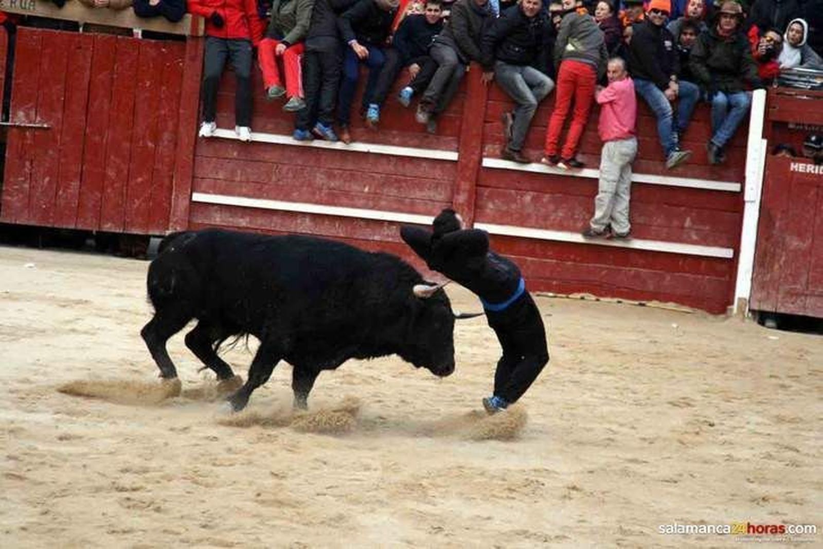 Martín Perrino llevará la batuta del Carnaval del Toro