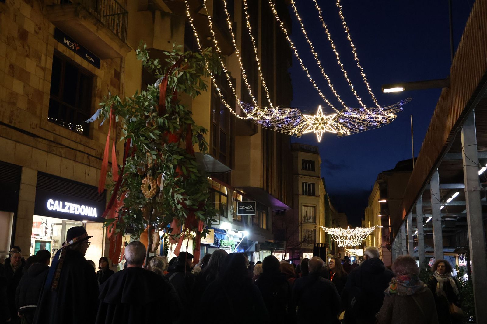 Desfile de Ramos de Navidad 2025 (20).JPG