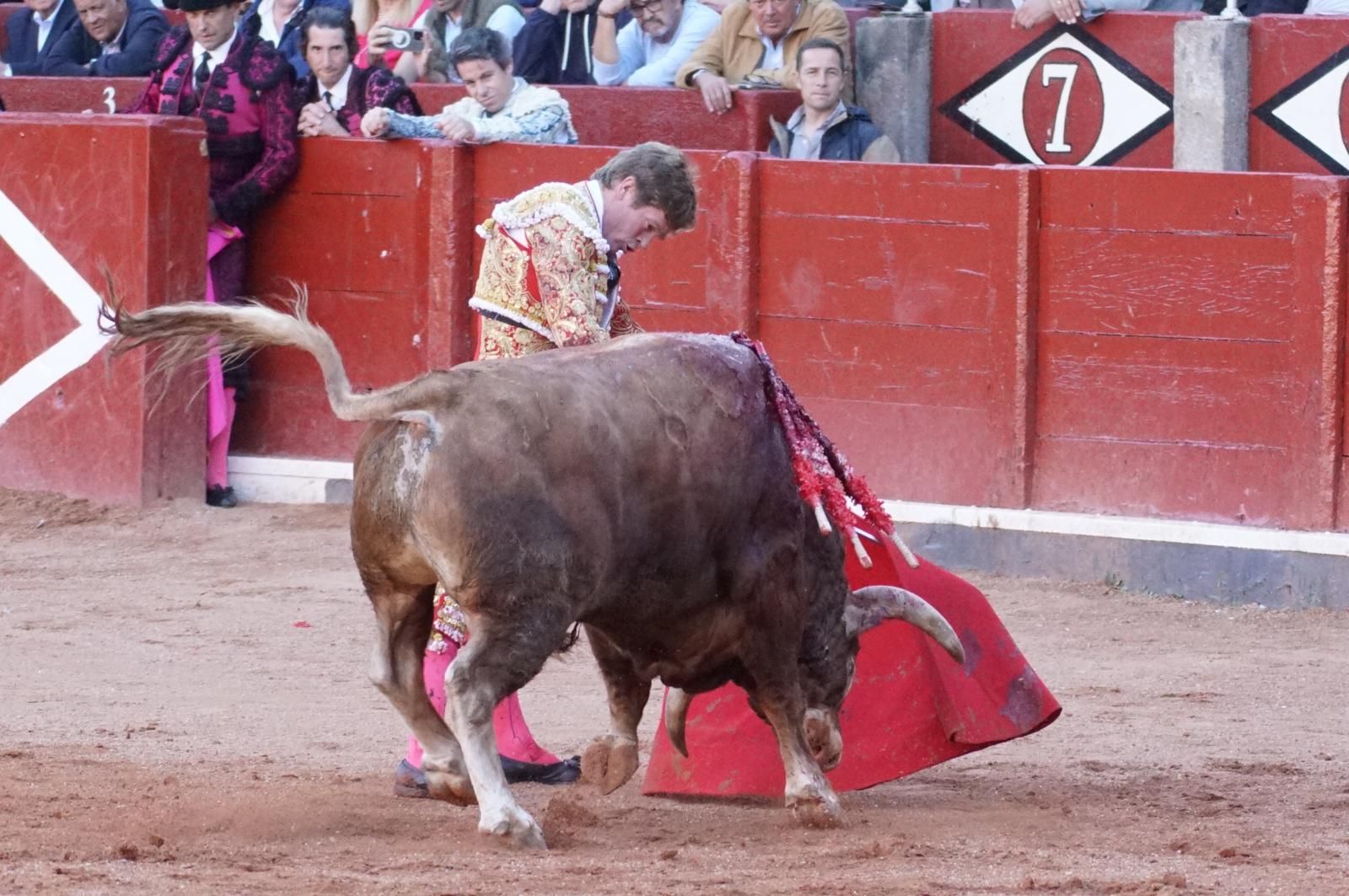 La corrida concurso para despedir la feria con Morante, Talavante y Borja Jiménez: imágenes de los mejores momentos en La Glorieta