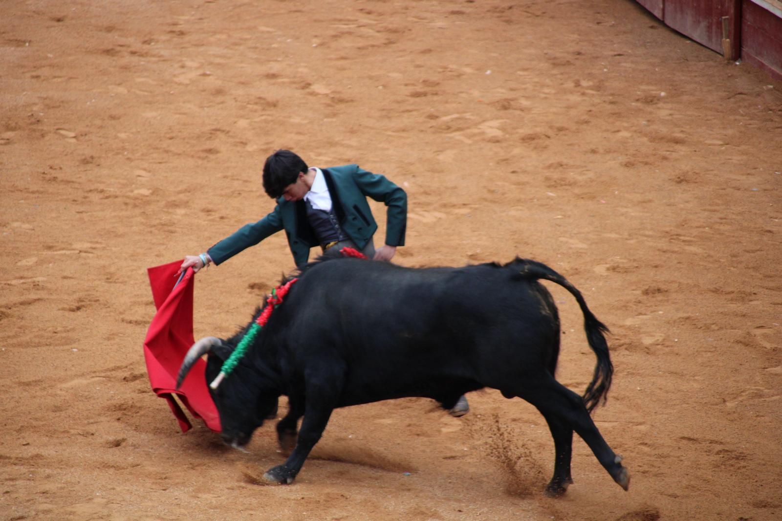 whatsapp-image-2025-03-02-at-18-55-03