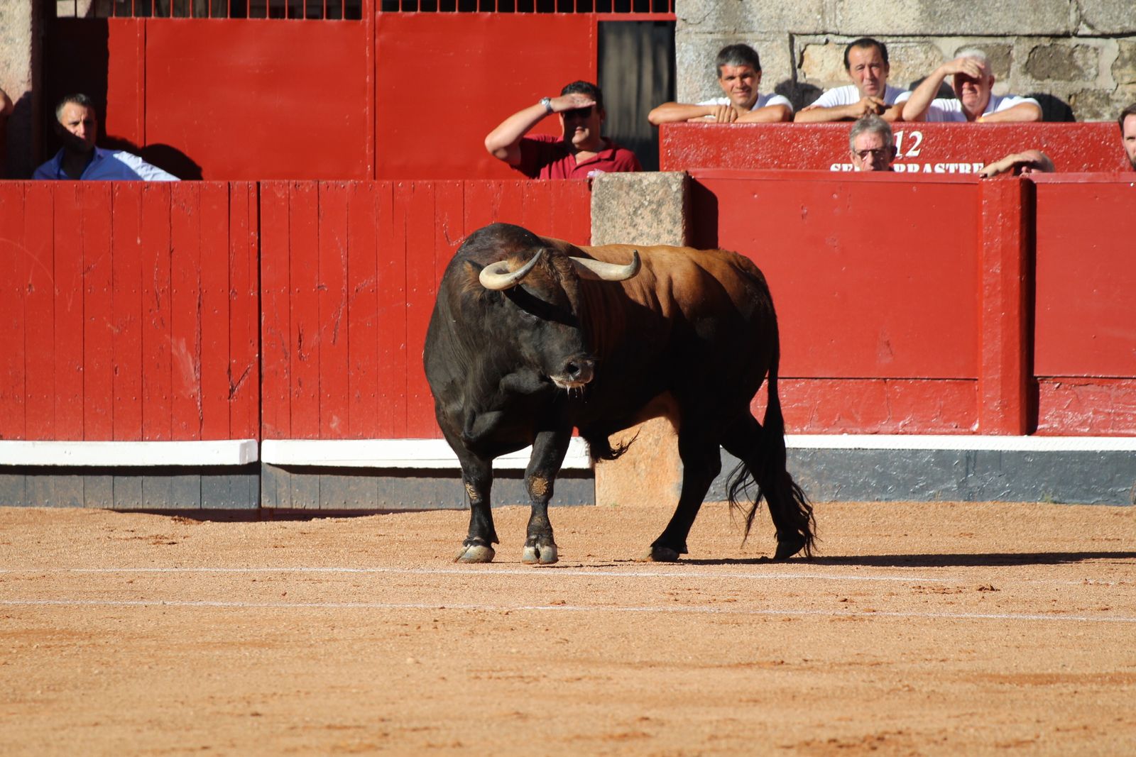 Emilio de Justo, Juan Ortega y Roca Rey inauguran el cartel de figuras en la feria de Salamanca: la corrida de Garcigrande en imágenes